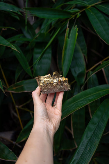 Golden Aura Cluster